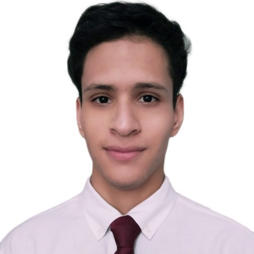 WEB-DEVELOPER